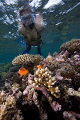   hope this works CFWA if please move correct category. my beautiful wife snorkeling pair Clown fish Qamea reef Fiji. trip was first experience taking pictures while snorkeling. category Fiji  